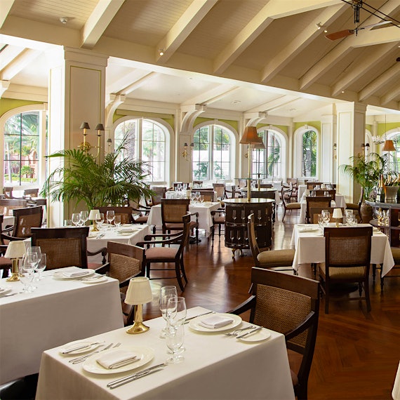 Photo by Atlantis Paradise Island