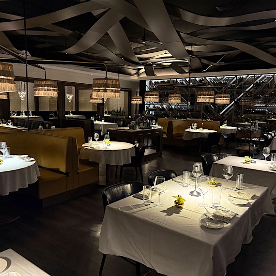 Photo by Steven Robles