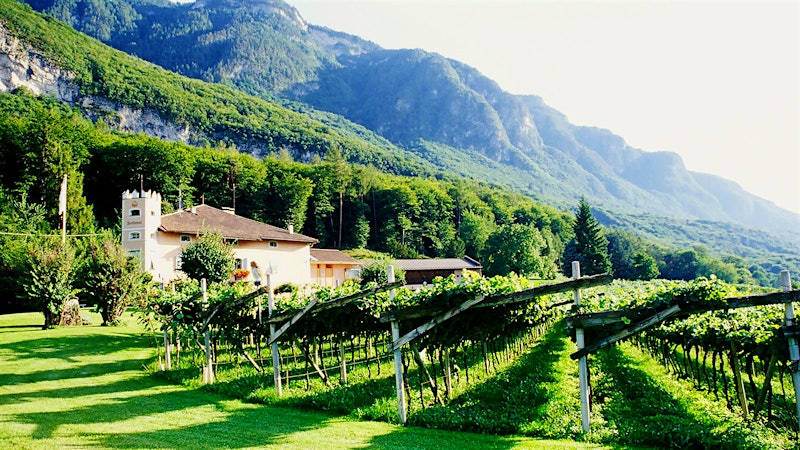 Wine Tip: The New 'It' Pinot to Know