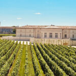 Ch&acirc;teau with vineyards in the foreground