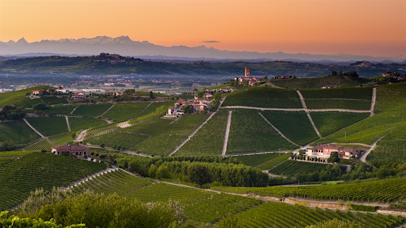 2020 Produttori del Barbaresco Single-Vineyard Riservas: Accessibility and Transparency