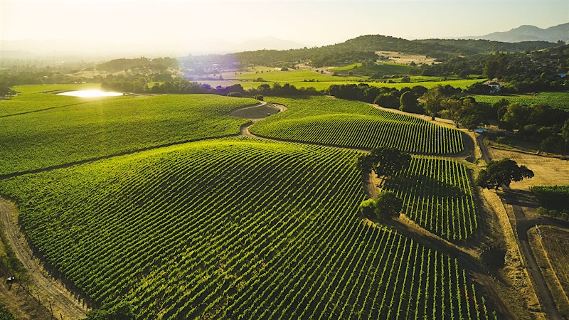 AVA Spotlight: Coombsville