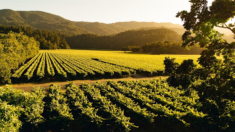 Continuing a History at Freemark Abbey