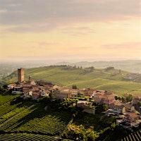 Barbaresco village and vineyards, Italy. Photo credit: Courtesy of GajaTop-Rated Barolos and Barbarescos