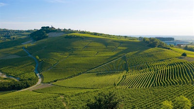 Insider Weekly: Jan. 14 Edition