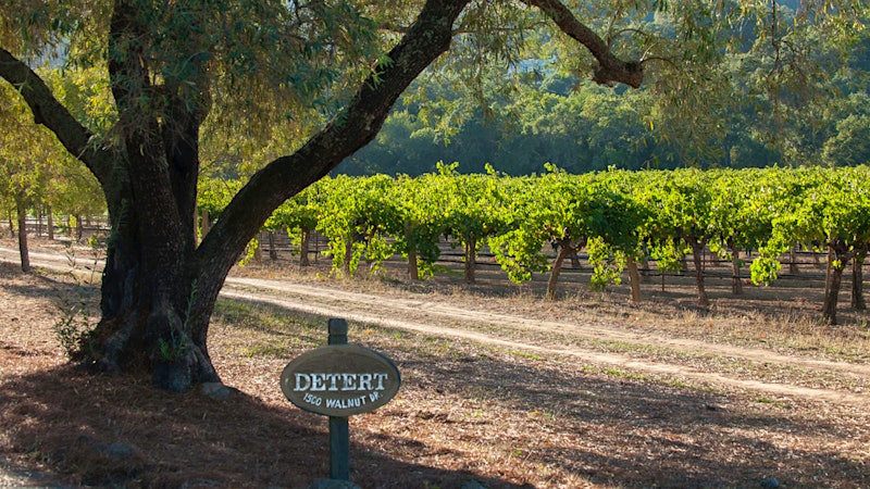 Thomas Rivers Brown Aims High With Historic Napa Vines