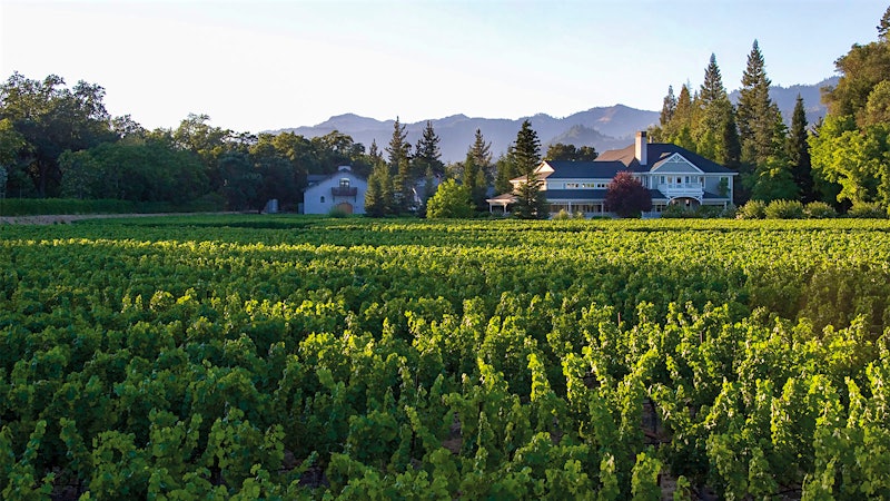 Duckhorn Refocuses, Trimming Brands and Tasting Rooms