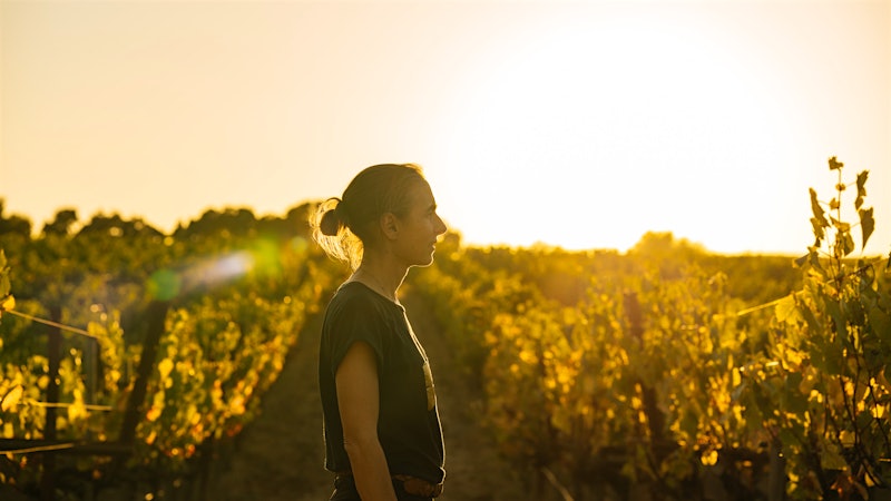 Nid Tissé Is Making Need-to-Know Pinot Noirs