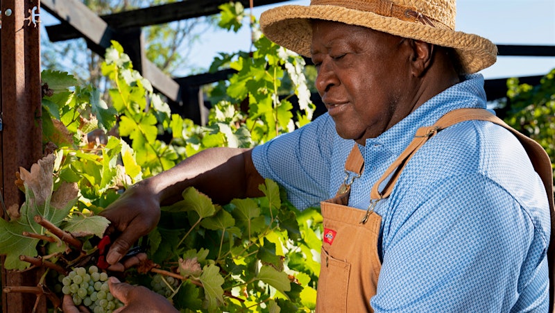 Wine Talk: Mac McDonald Takes a Bow