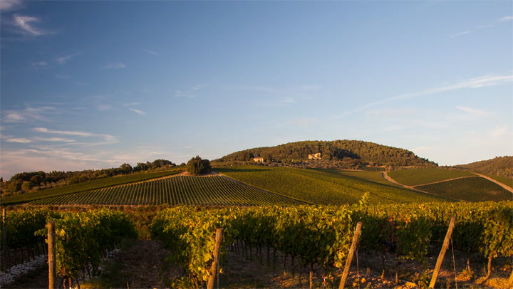 How Antinori Redefined Tuscany, Part 1: Introducing Super Tuscans Tignanello & Solaia