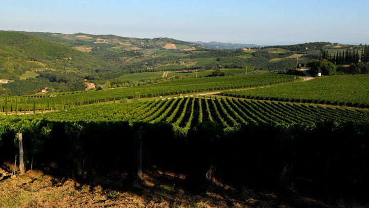 To Decant (or Not) with Melini's Marco Galeazzo —Quick Tip