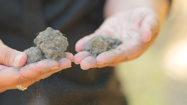 How Terroir Shows Up in Your Glass: Tasting Stags Leap Cabernet