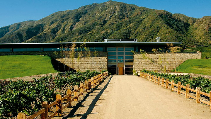 Cabernet Sauvignon from Chile