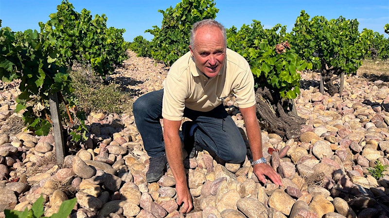 The Future of Vieux Télégraphe