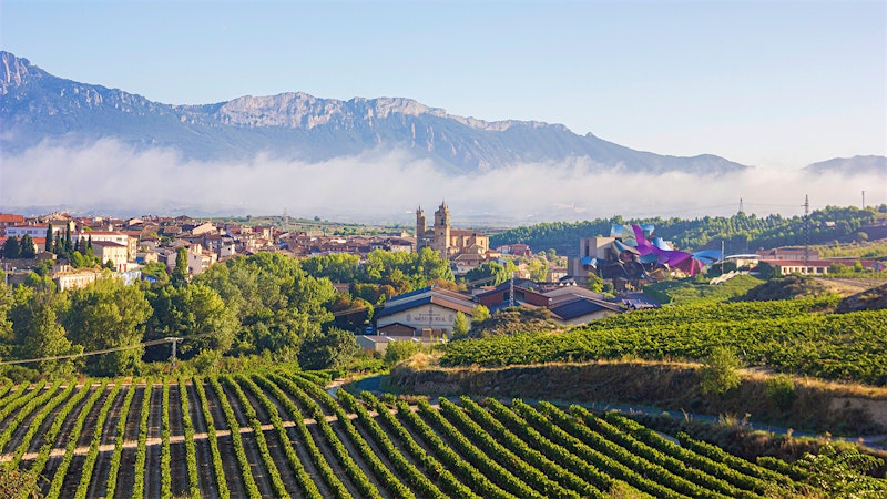Rediscovering Rioja