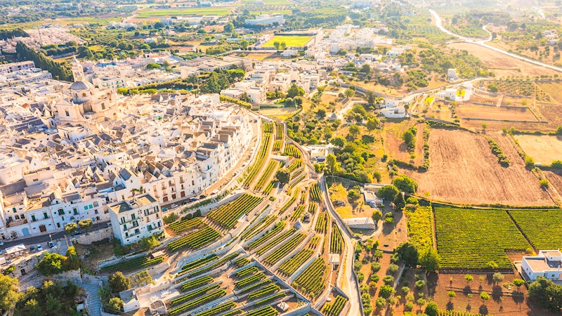 Wine-Country Travel Destinations You Shouldn’t Overlook: 10 Pro Picks