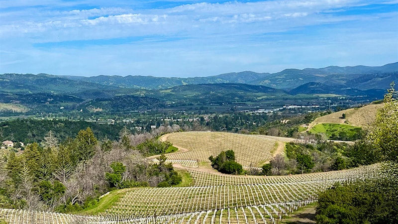 Spring Mountain Vineyard Makes a Comeback, Again