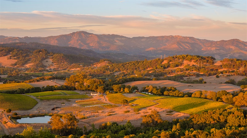 Sonoma Mountain’s Best-Kept Secret