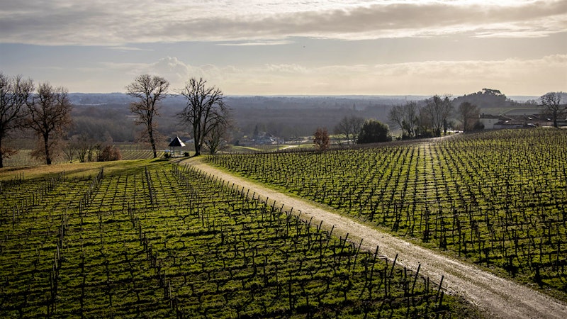 8 Delicious Bordeaux Values Up to 93 Points