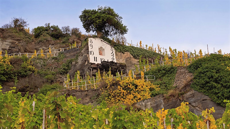 8 Mosel Rieslings That Defy Gravity