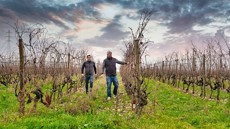 9 St.-Joseph Reds and Whites Up to 94 Points