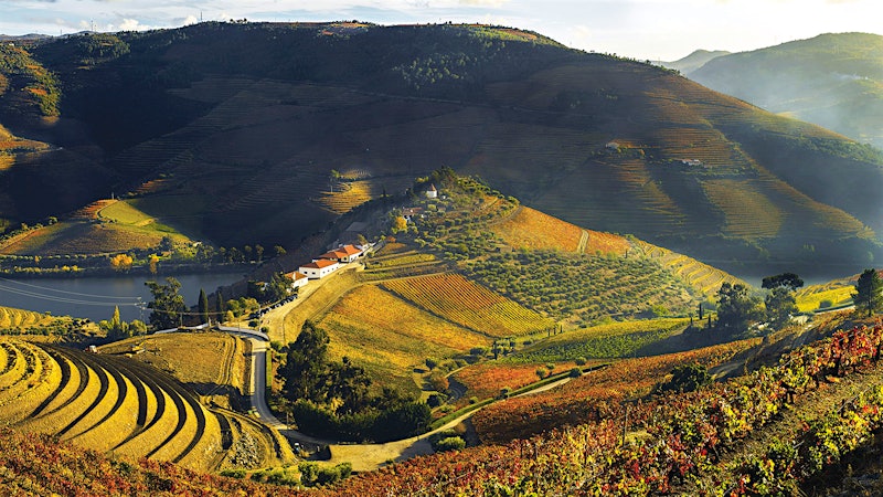 Alphabetical Guide to Port