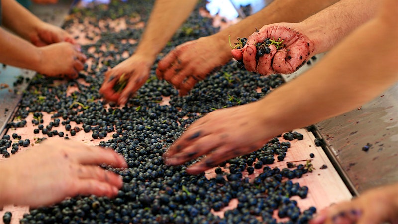 Back to Work: Another Wine Jobs Quiz