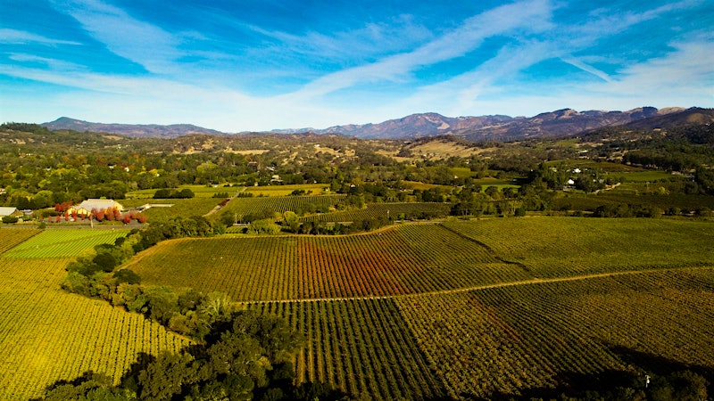 Alphabetical Guide to California Zinfandel